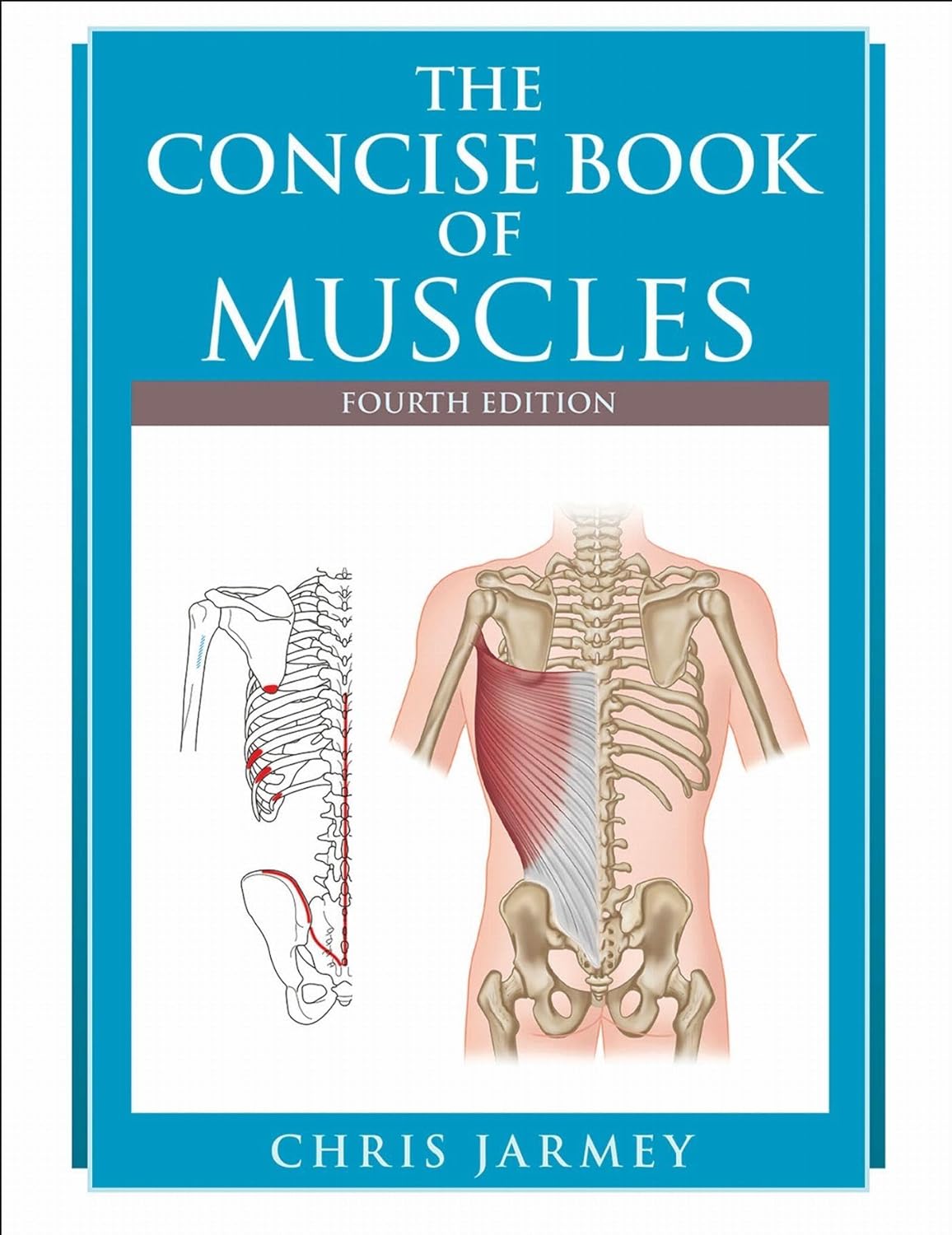 The Concise Book of Muscles, 4th Edition (EPUB)
