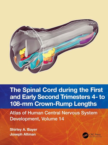 The Spinal Cord during the First and Early Second Trimesters 4- to 108-mm Crown-Rump Lengths: Atlas of Human Central Nervous System Development, Volume 14